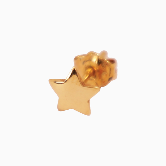 Bumpy Star Earring