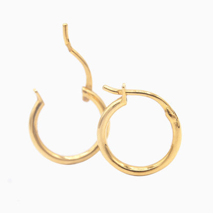 Hoop Earrings